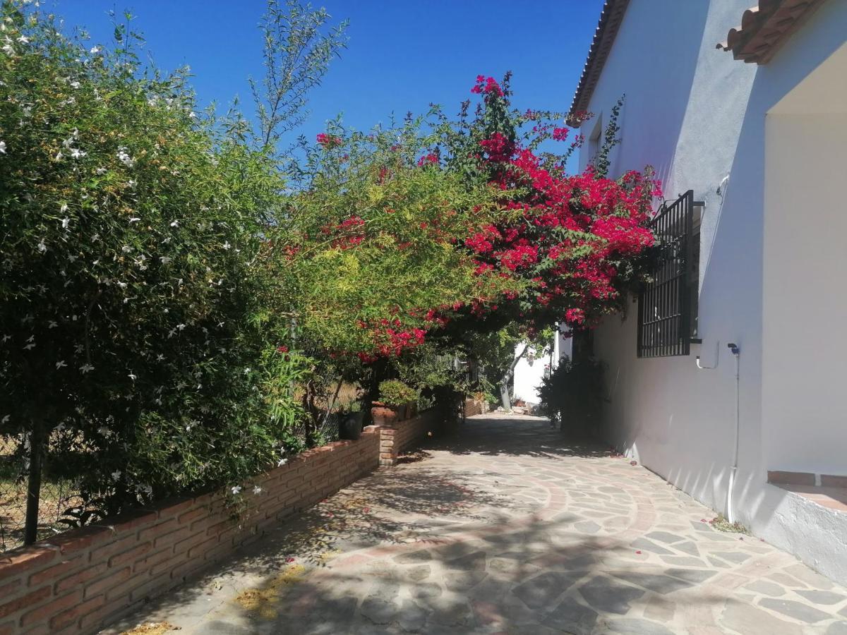 Casa Luis Villa Vinuela Exterior photo